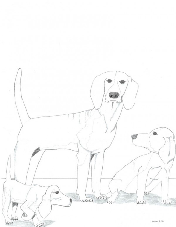 Playful Pups by Lawrence Olive